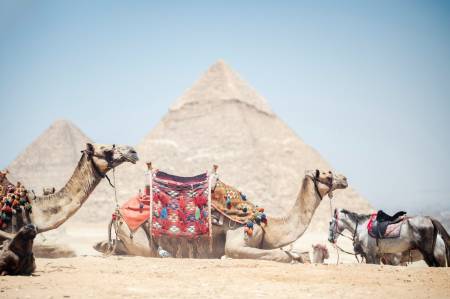 Cairo Crystal Hotel5